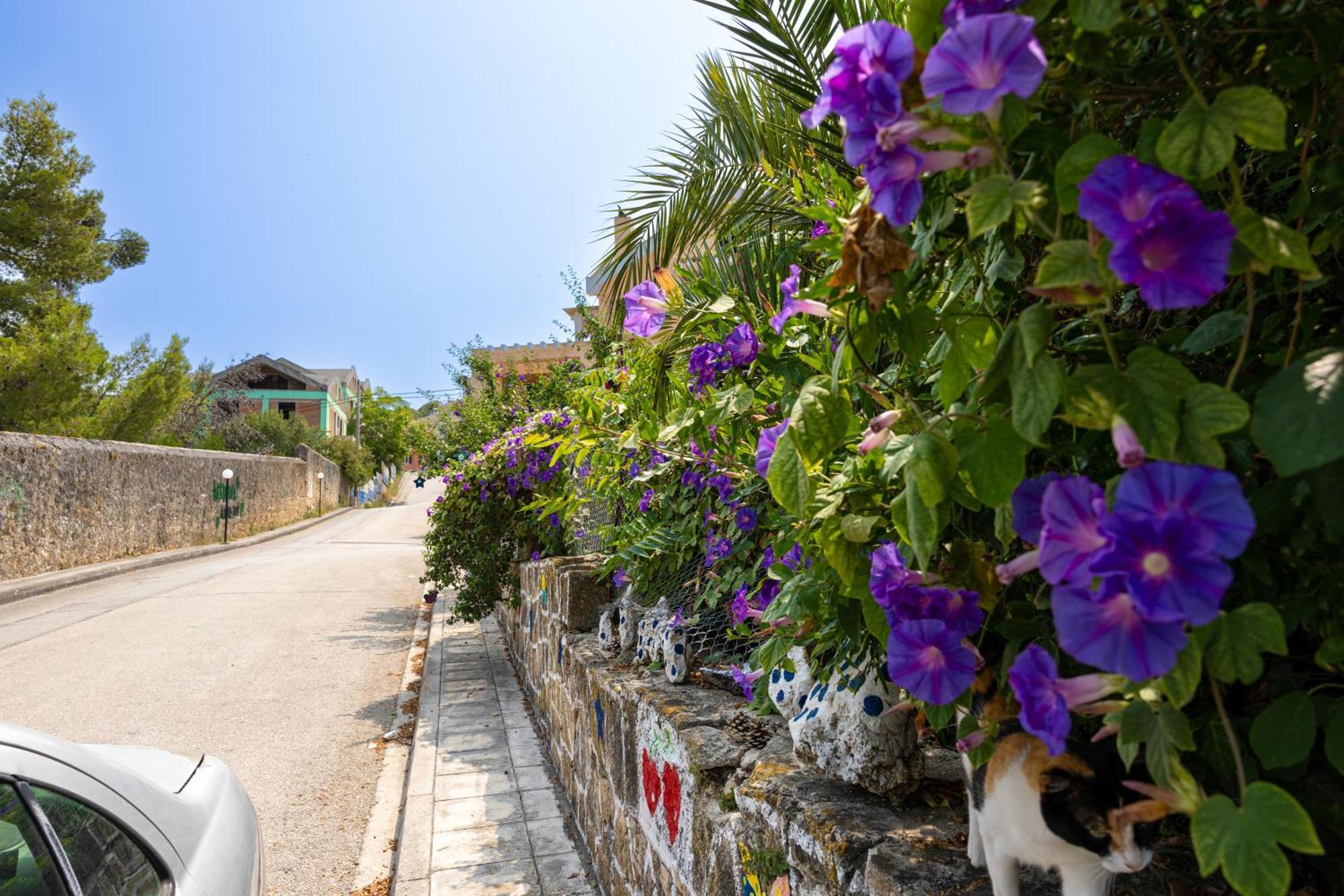 Domus City Apartment Argostoli  Exterior foto